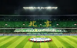 开云线上入口-包含风云突变北京国安今晚手感冰凉，亚冠版图或变，球迷炸锅，团队化学反应显著的词条