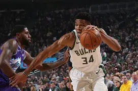 开云登录网址入口-农心杯今天比赛最新消息